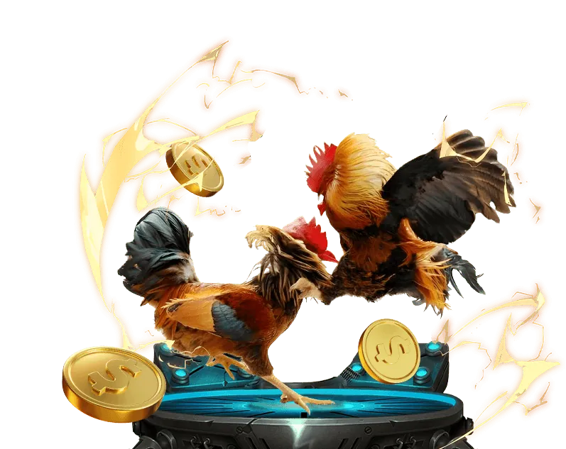 Đội ngũ chuyên gia của WIN99